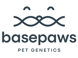 basepaws.com